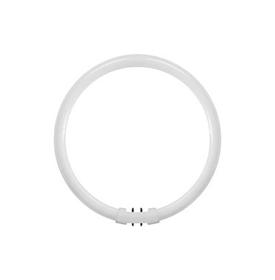 T5 Circular Fluorescent Tubes Luxram Circular T5 Circular Fluorescent Tubes Luxram Circular